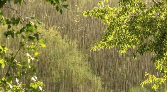 از کاهش ۵۰ درصدی بارندگی در استان کرمان تا آماده‌باش دستگاه‌ها برای بارش‌های پیش‌رو