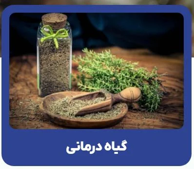 خدمات ویژه مطب دکتر ترابی: از طب سوزنی تا حجامت و درمان های سنتی