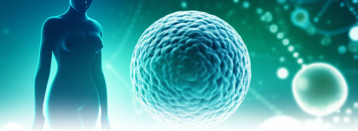 داروخانه | مکمل مکمل آلبومین – هر آنچه باید درباره فواید آن بدانید