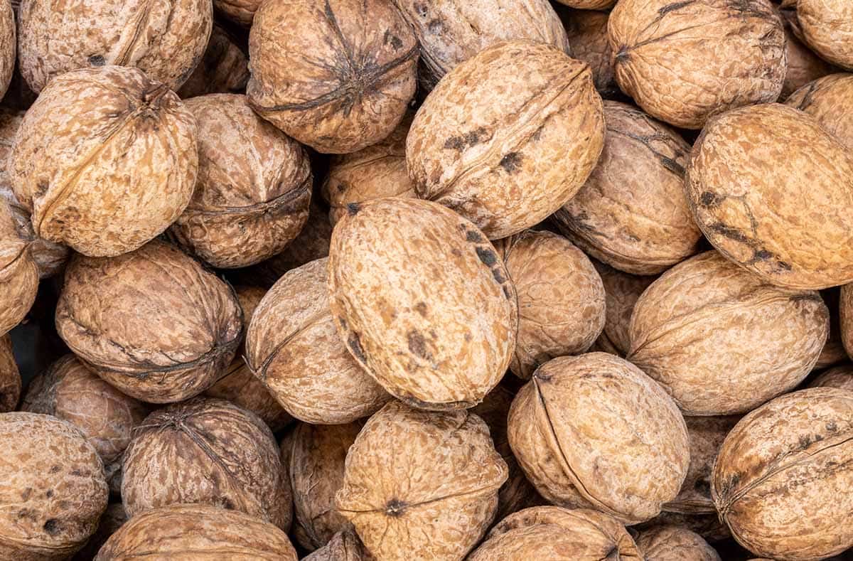 اضافه وزن | رژیم غذایی کالری یک عدد گردو چقدر است؟ بررسی علمی ارزش غذایی گردو